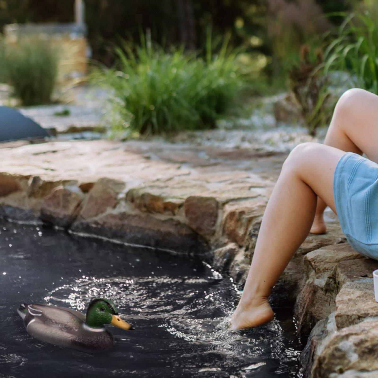 Floating Duck Decoy Realistic  - Hunting & Outdoor Supplies Photos review and price