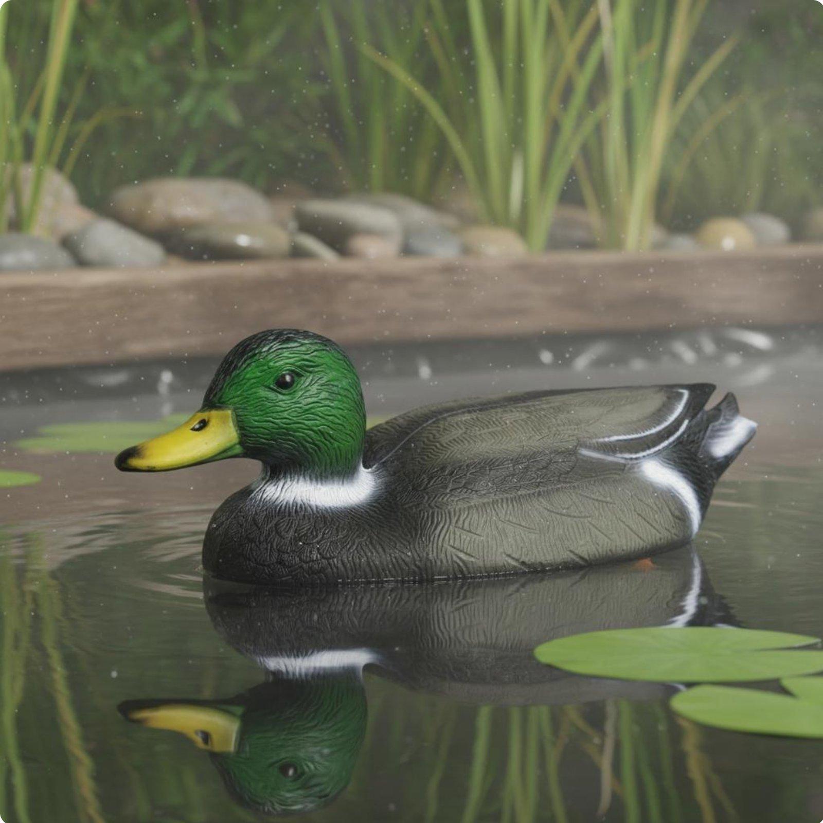 Floating Duck Decoy Realistic  - Hunting & Outdoor Supplies Photos review and price